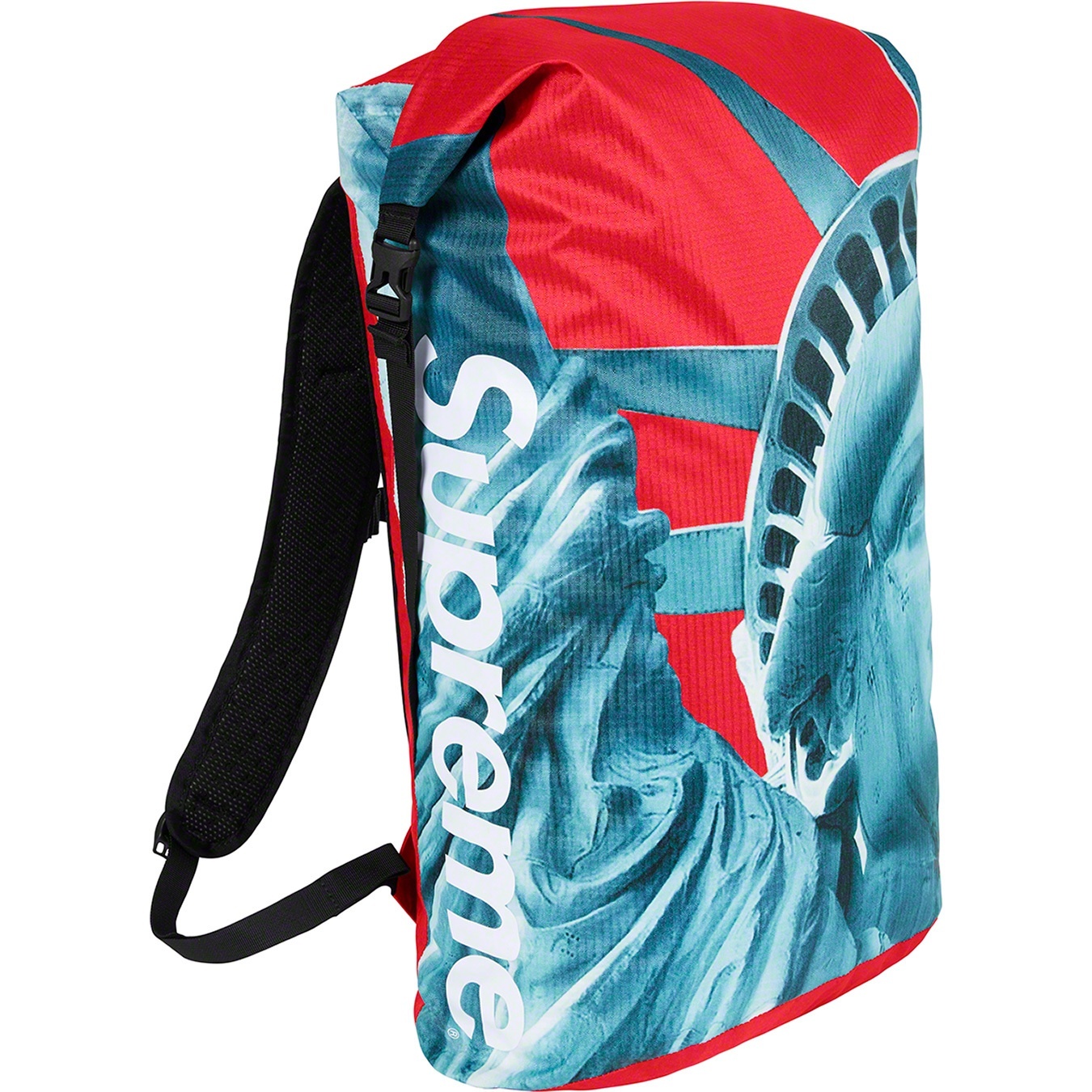 Supreme®/The North Face® Statue of Liberty Waterproof Backpack view 10